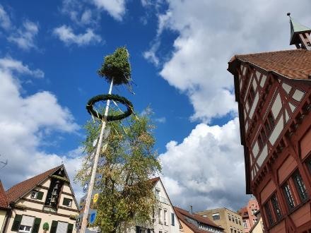 Maibaum vor dem alten Rathaus in der Innenstadt